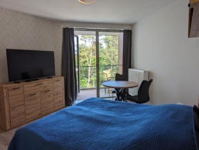 Pinea Apartment 322